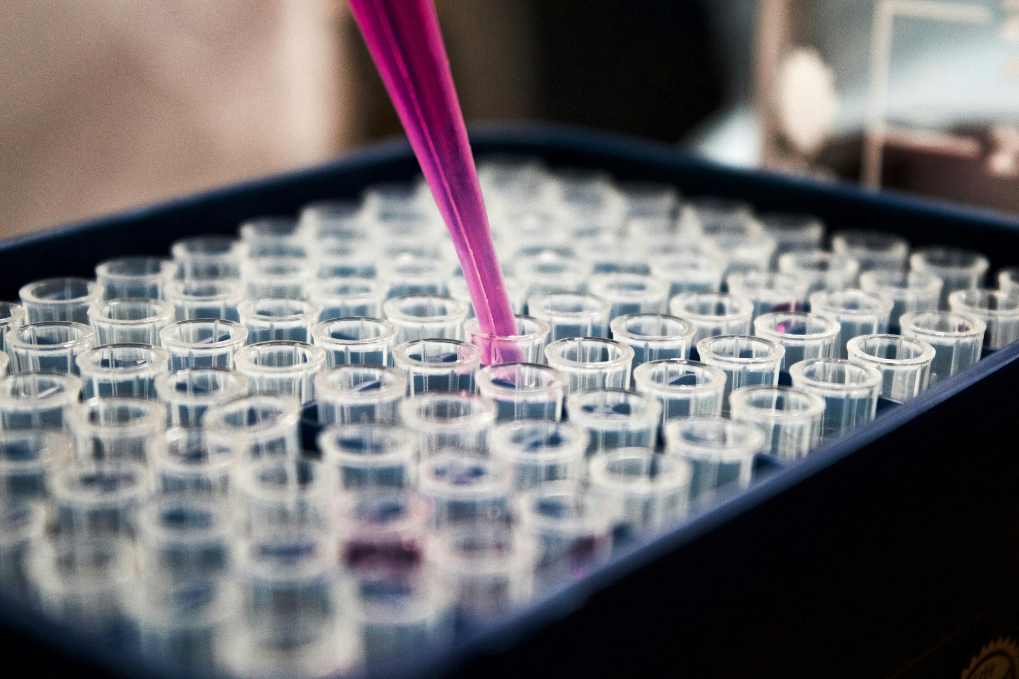 Natural Chemistry and Plant Medicine